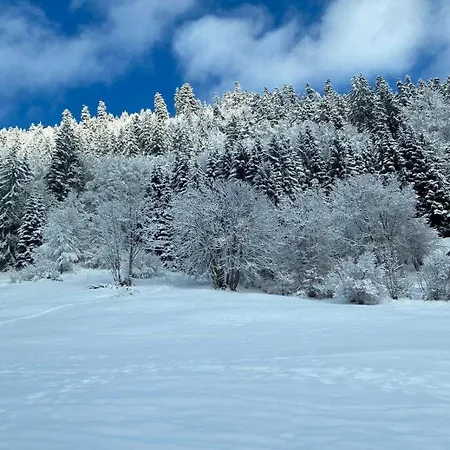 Lägenhet 2 Personnes Avec Parking *