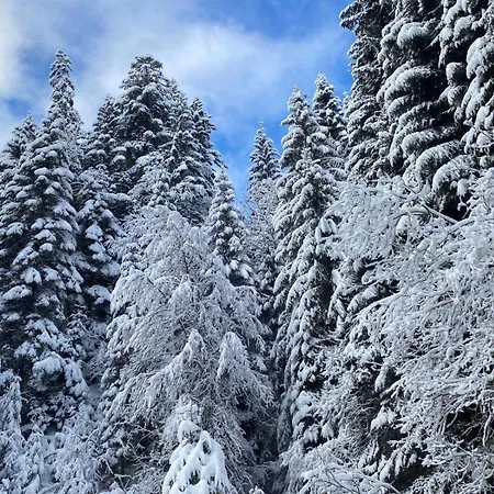 2 Personnes Avec Parking *