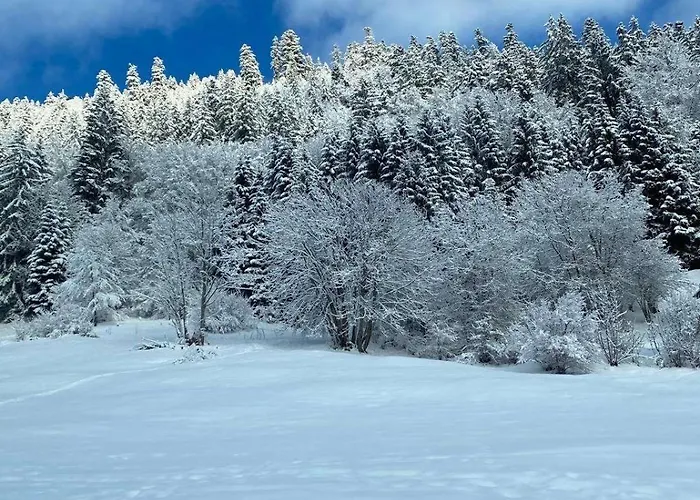 Apartmán 2 Personnes Avec Parking *