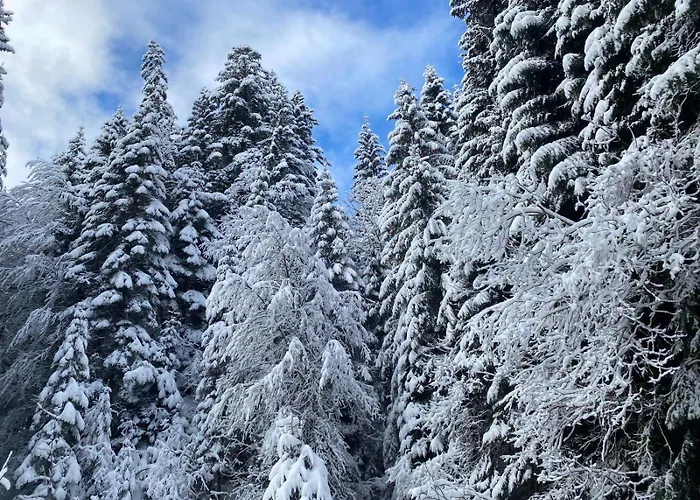 2 Personnes Avec Parking *