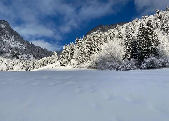 公寓 2 Personnes Avec Parking