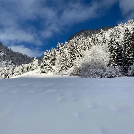 Apartment 2 Personnes Avec Parking
